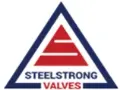 Steel Strong Valves